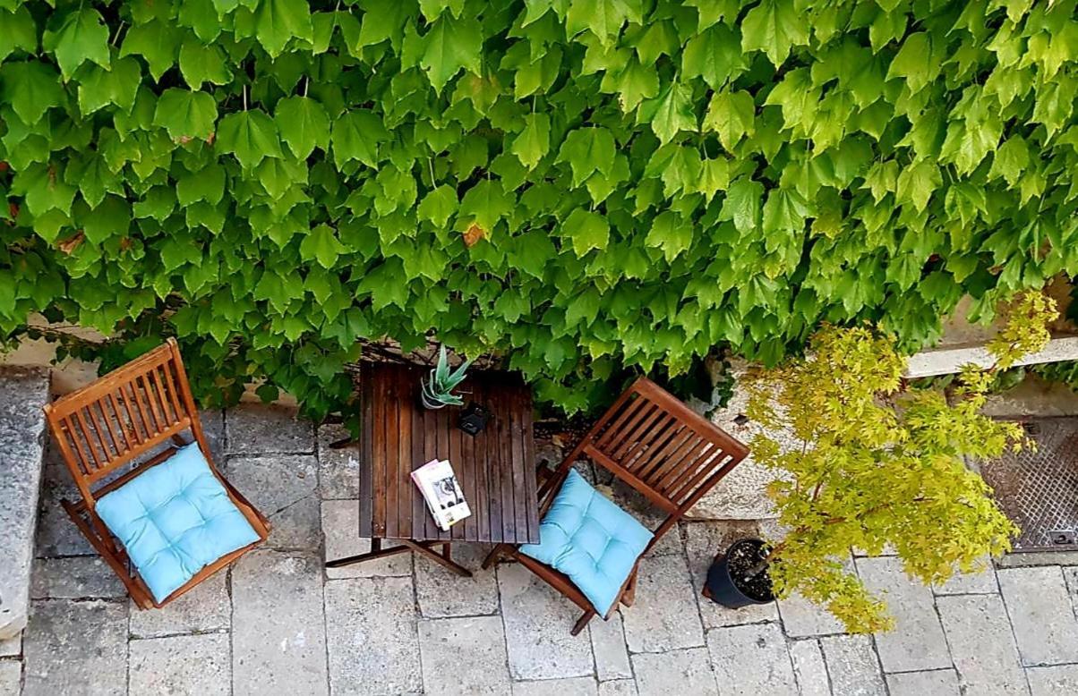 Villa Ani Apartment Coral Dubrownik Zewnętrze zdjęcie